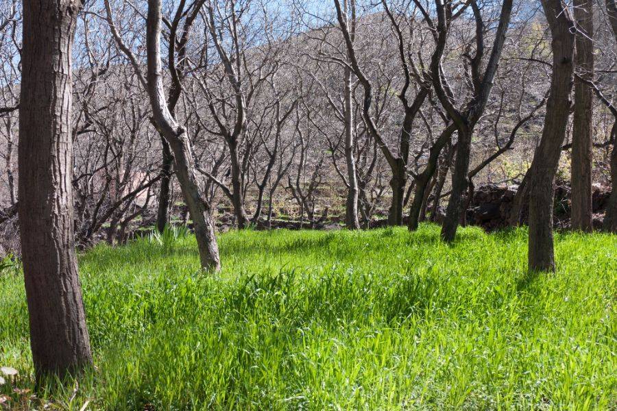 Excursie naar Asni & Imlil met een heerlijke lunch in Kasbah Toubkal