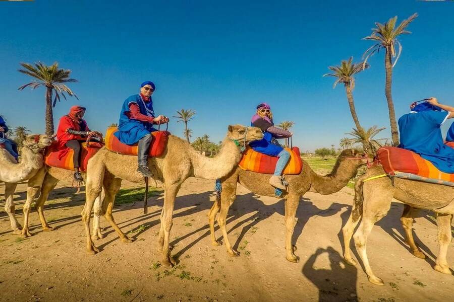 Kameelrijden & quad & spa en hamambehandeling