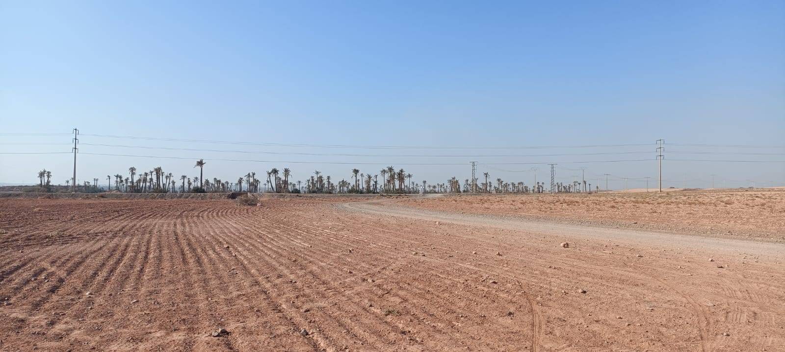 Fietstochten in Palmeraie Marrakech halve dag