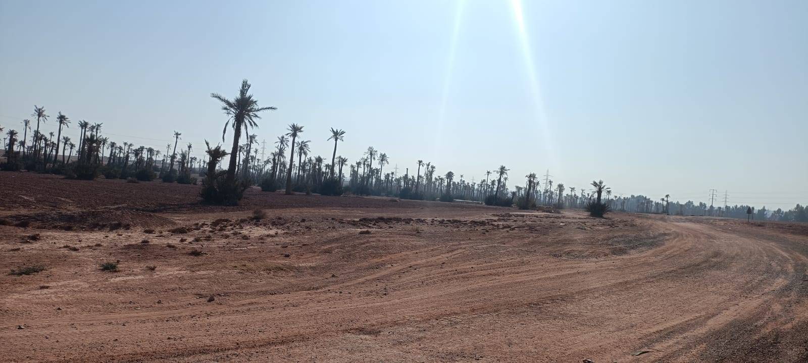 Fietstochten in Palmeraie Marrakech halve dag