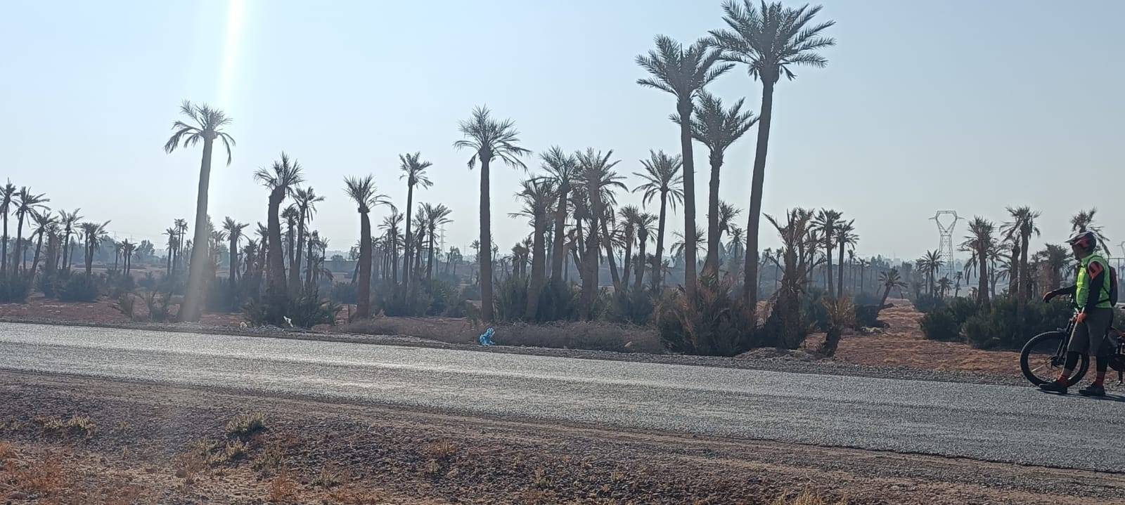Fietstochten in Palmeraie Marrakech halve dag