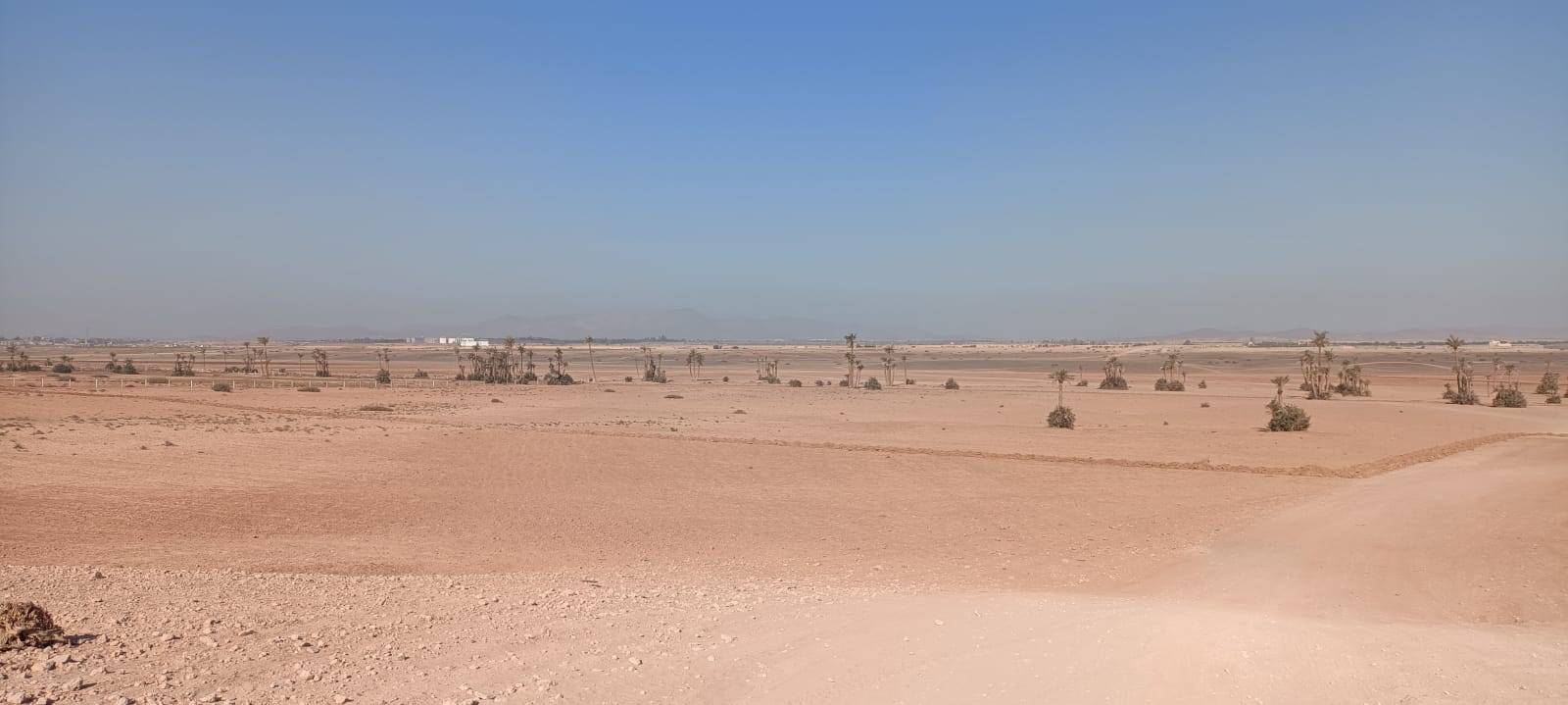 Fietstochten in Palmeraie Marrakech halve dag