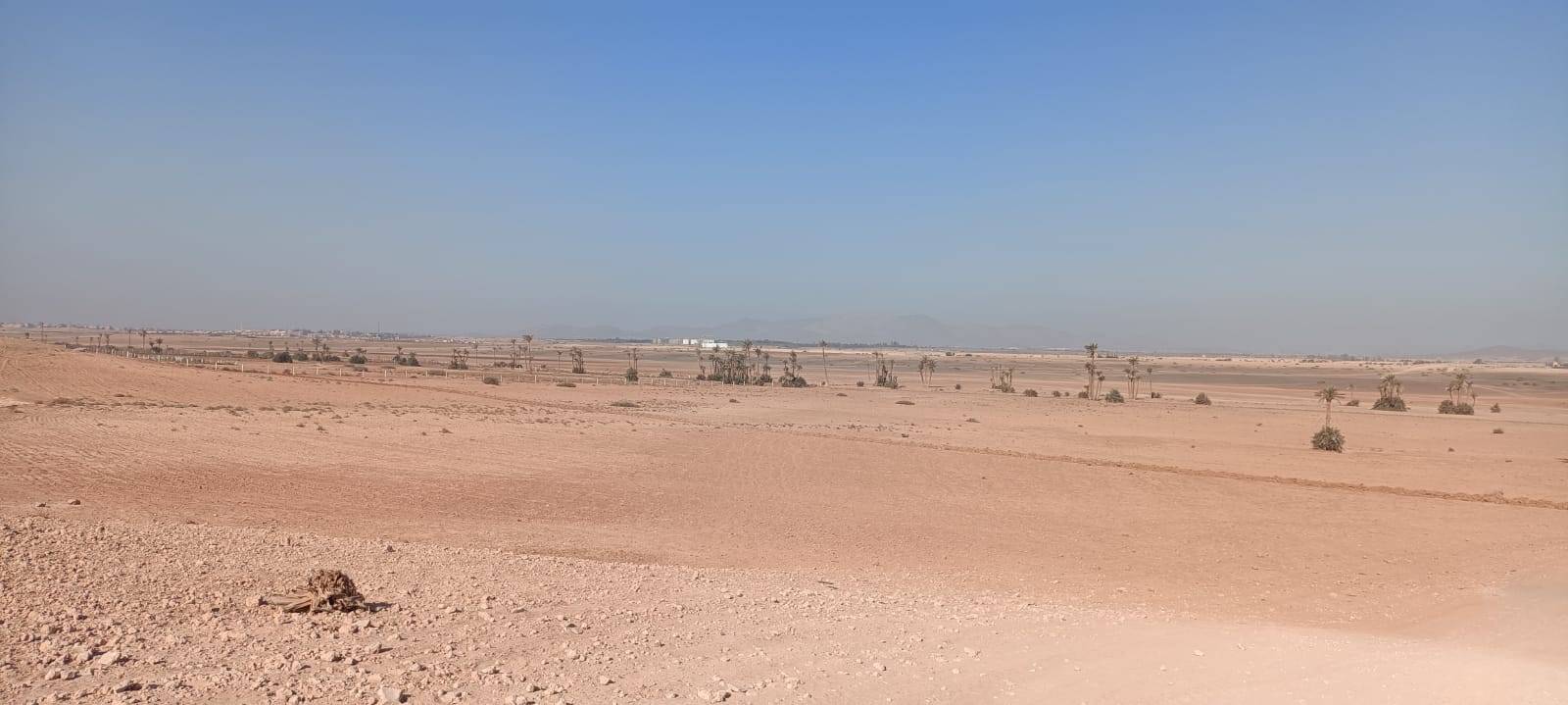 Fietstochten in Palmeraie Marrakech halve dag