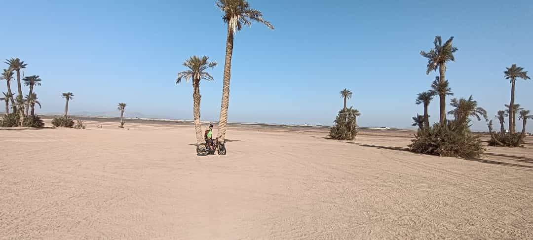 Fietstochten in Palmeraie Marrakech halve dag