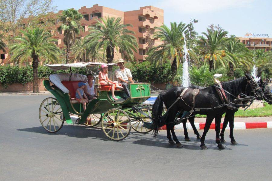 2 daagse tour in Marrakech met halfpension en spa vanuit Casablanca 