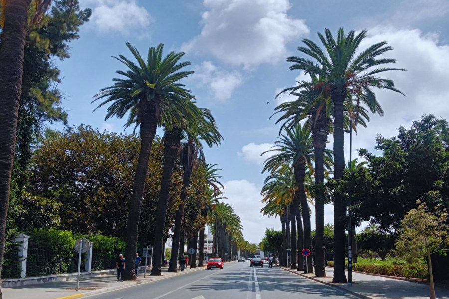 Gita di un giorno a Casablanca da Marrakech